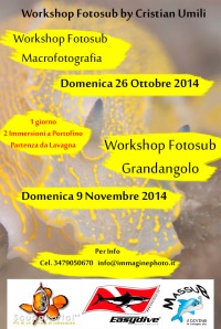 Workshop fotosub ottobre-novembre 2014